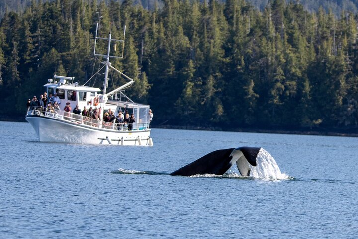 The Eagle One with an Orca tail!